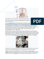 Toxicity: Carbon Dioxide Poisoning