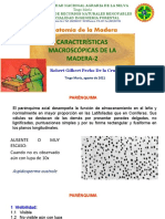 07 Características Macroscópicas 2020-2