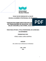 Percepcion Sobre Infección Por Sars-Cov2 en Trabajadores de Salud Del Centro de Salud Chacarilla de Otero, Julio 2020