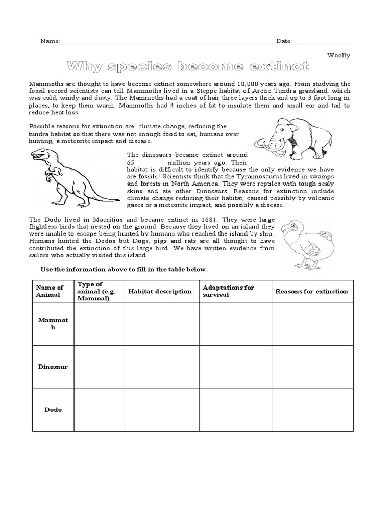 Extinction Worksheet PDF