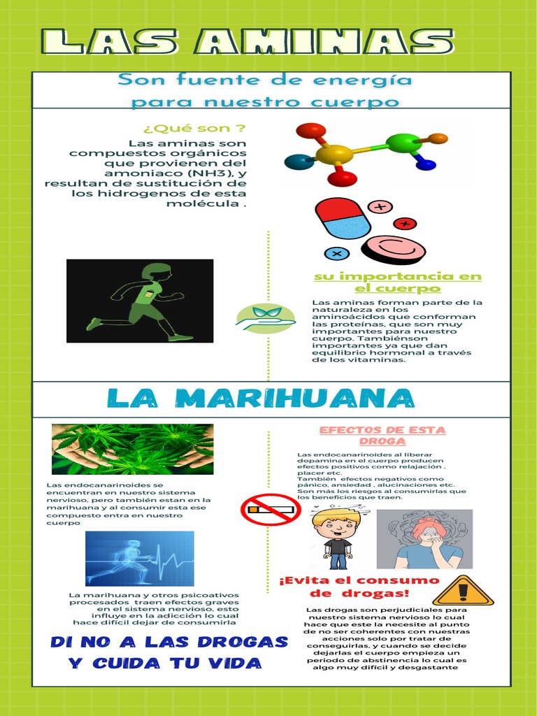 Infografía Aminas y Drogas | PDF | Drogas | Bioquímica