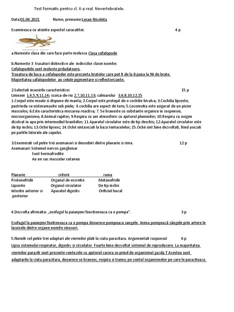 Test CL X R | PDF