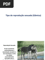 Reprodução sexuada (Gâmica) 