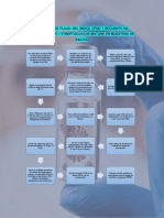 Diagrama de Flujo (Saliva y Caries)