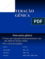 Interacao genica em