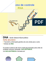 Aula duplicaçao do DNA