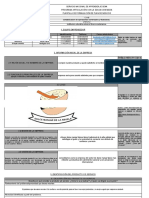 Plantilla Del Sena-Continuacion