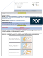 Proyecto interdisciplinario sobre fenómenos naturales