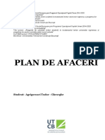 Model Plan de Afacere