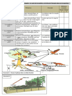 Documents Chap 4 Relations Trophiques