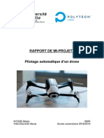 Rapport P36 Viscogliosi Ayoub