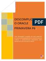 P6EPPM Client - Completo_R19.12_V2