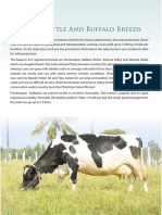 Cattle and Buffalo Breeds: National Dairy Development Board