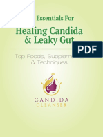 The Essentials: Heal Candida & Leaky Gut with Foods, Supplements & Techniques