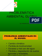 Contaminacion Ambiental Mundial y Regional