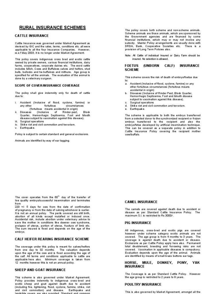 Rural Insurance Booklet | PDF | Calf | Cattle