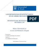 Beneficios Penitenciarios Tfm-Marina Centenera