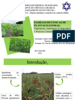 Principais famílias botânicas de plantas daninhas: Ciperáceas, Asteráceas e Poáceas