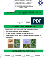 Grupo 3-Propagação e Fitossociologia de Plantas Daninhas