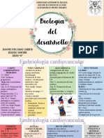 Embriología Cardiovascular y Circulacion Fetal.