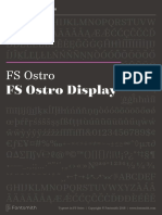 FS Ostro Display