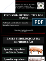 AULA 5 - Fisiologia Reprodutiva do Suíno