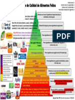 Piramide Calidad Alimentos Felina 2021