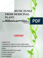 Endophytic Fungi From Medicinal Plant:: Withania Somnifera