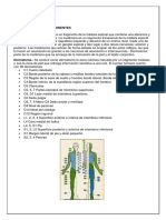 Tareas de Neurología