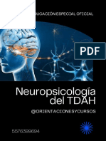 Neuro Tdah