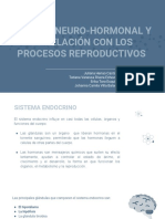 Sistema Neuro-Hormonal y Su Relación Con Los Procesos