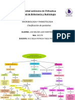 Clasificacion de Parasitos