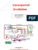 Circuito Extracorporeo