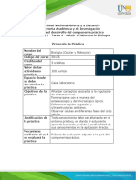 Protocolo de Práctica Presencial