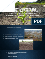 Factores ambientales y del suelo que influyen en la productividad agrícola