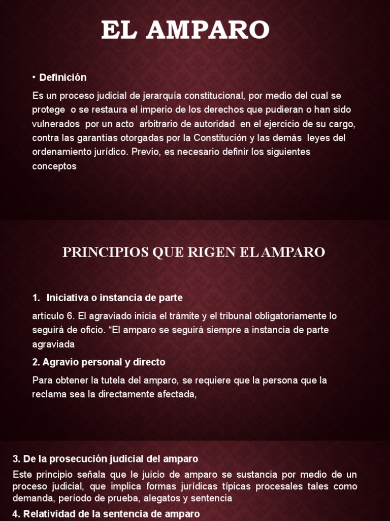 El Amparo | PDF | Justicia | Crimen y violencia