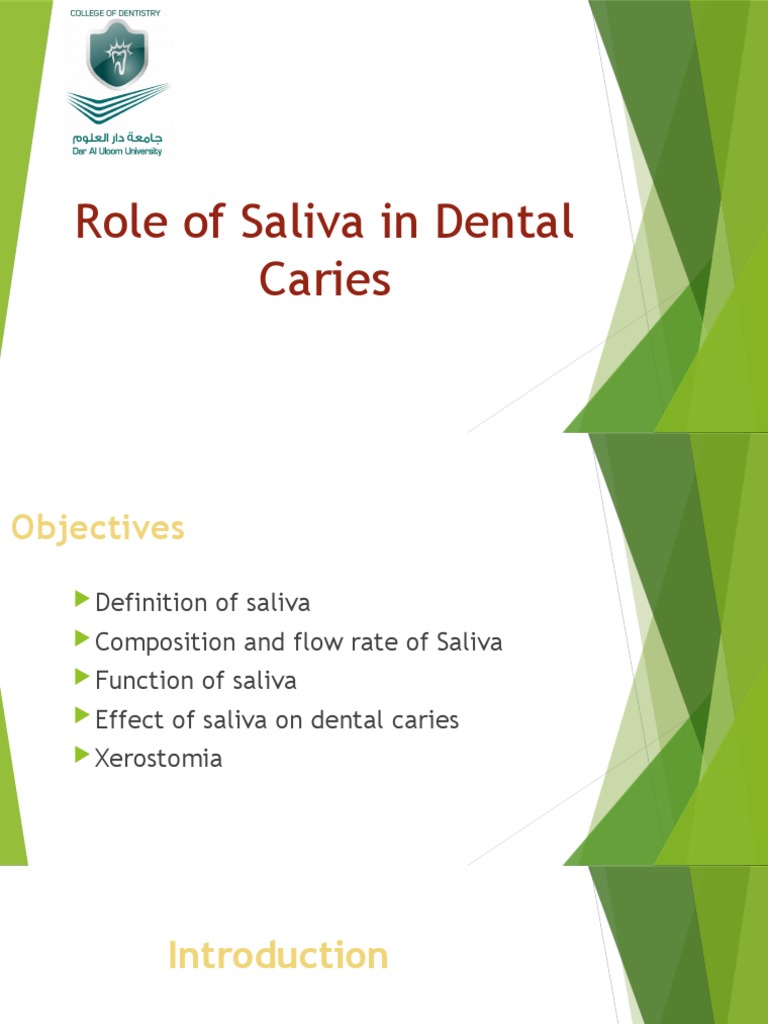 Role of Saliva in Dental Caries Download Free PDF Saliva Digestion