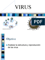 Ciencias Septimo Virus
