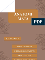 Anatomi Mata 8