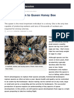 An Introduction To Queen Honey Bee Development