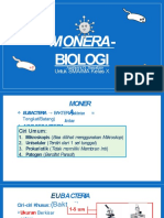 Monera Biologi Untuk Sma Ma Kelas X