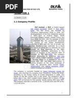 Download Project Report FINAL DLF1 by Punjabi Put SN53514192 doc pdf