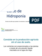 Curso de Hidroponia: Técnica de Cultivo Que Permite El Crecimiento y Desarrollo de Plantas Sin Suelo