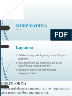 Week4 Morpolohiya