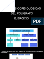 Bases Psicofisiológicas Del Polígrafo Ejercicio