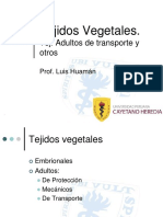 03 Nivel Histologico Transp Otros