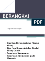 Pertemuan 4IPA.5020850