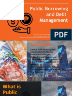 Public Borrowing and Debt Management