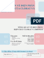 Tổng quan về điện phân hợp chất clorat và bromat