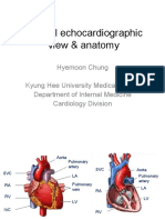 Anatomy of Normal Echocardiography Window